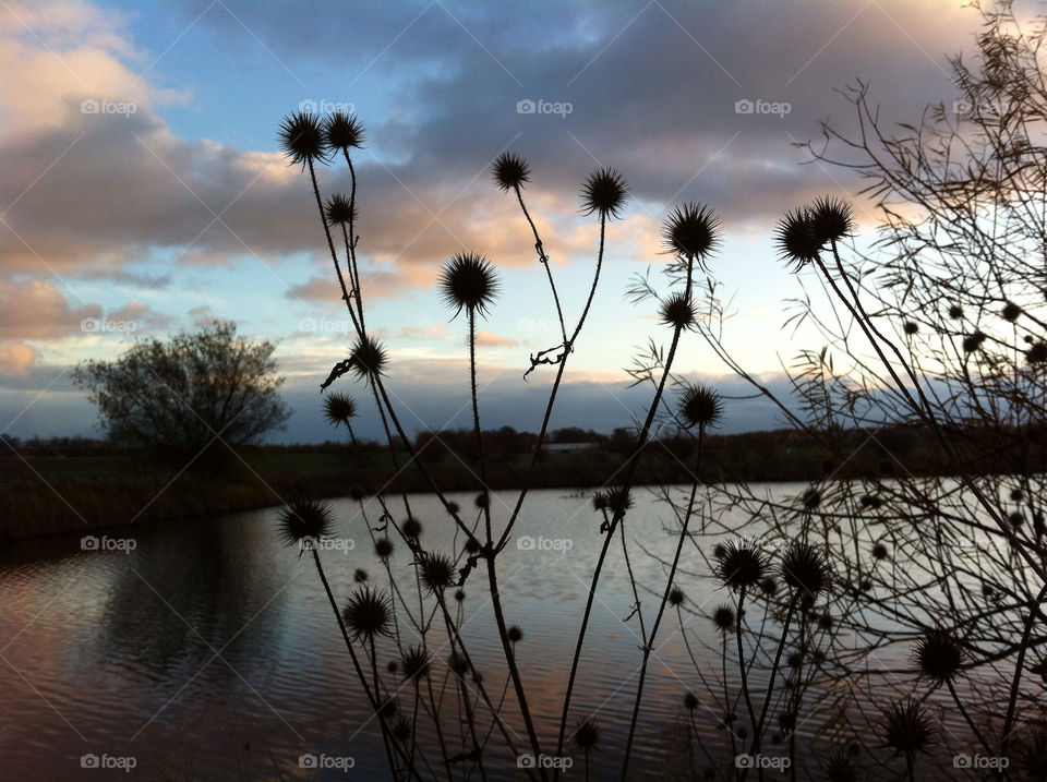 clouds moln thistle dusk by inge.hans