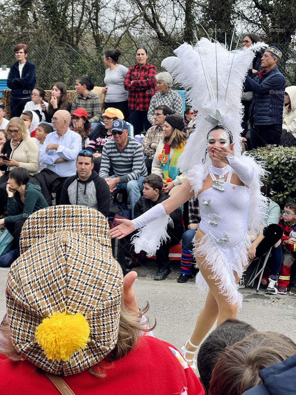 Portrait of carnival 