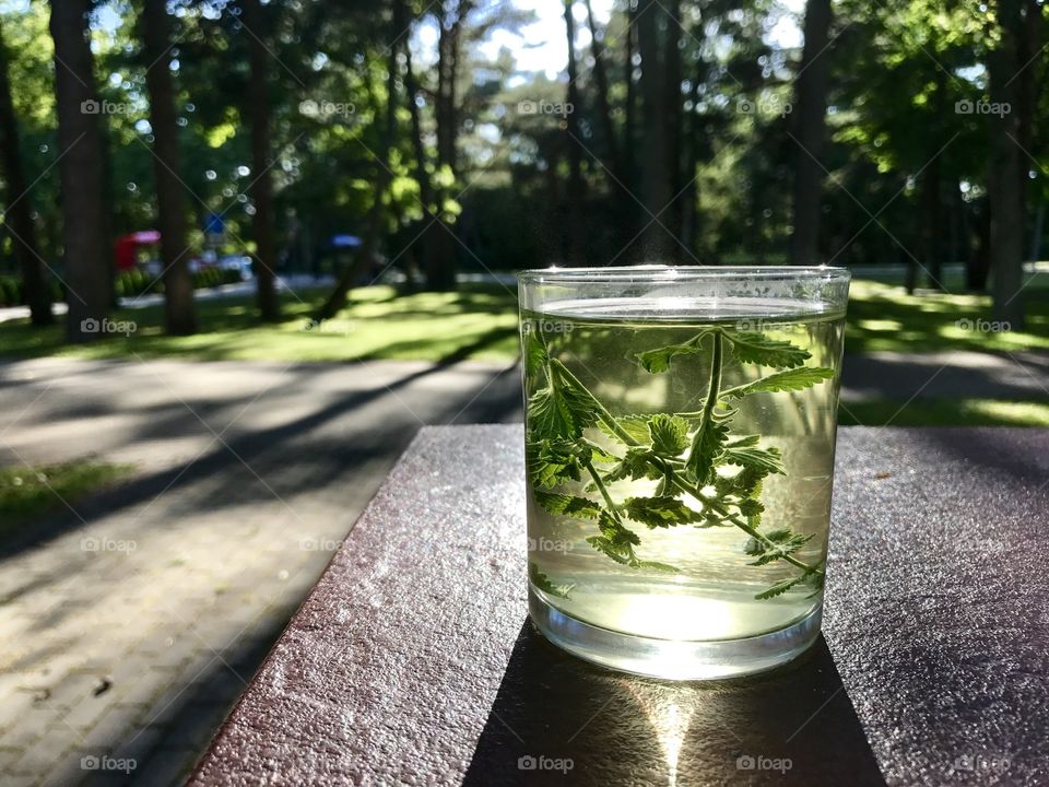 Tea with mint 