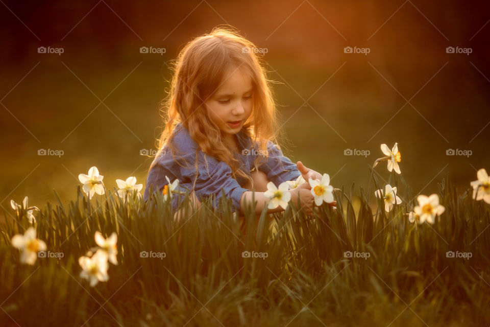 Little girl with narcissus at sunset