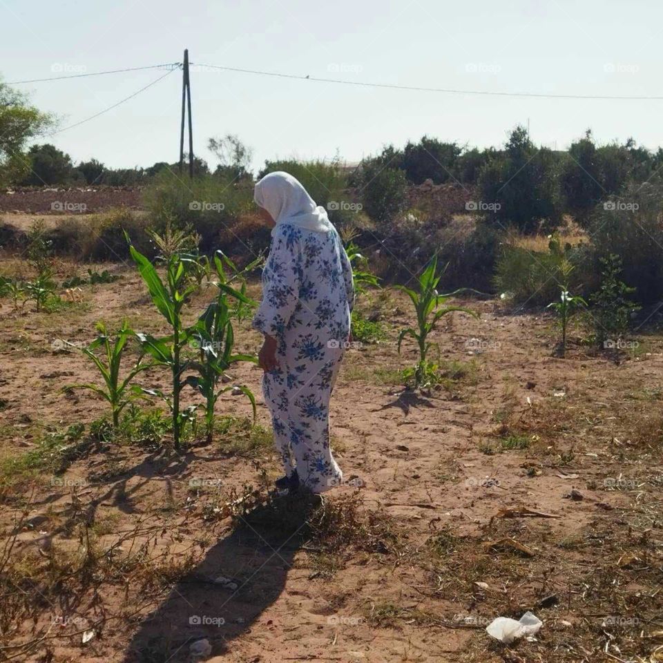 an old woman walking in the field.