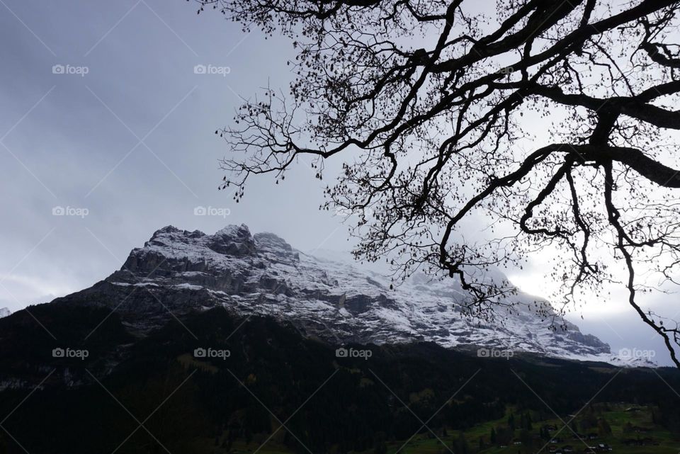 Mountains#snow