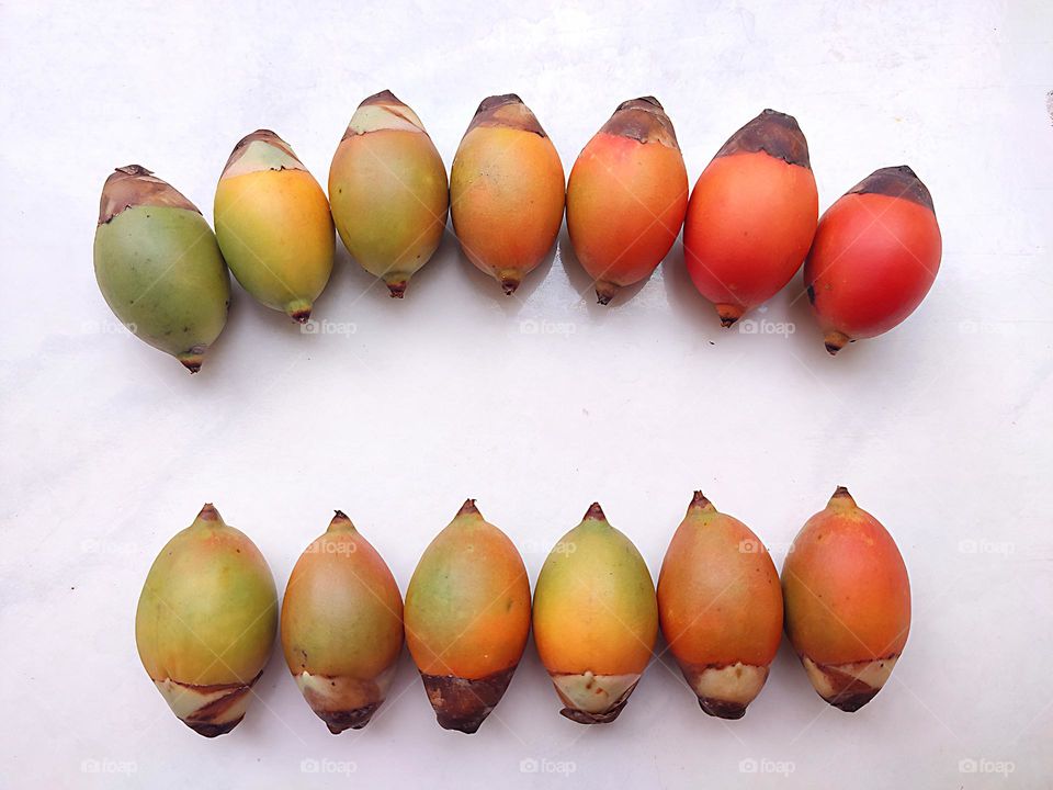 Sell Your First Photo on Foap
Ornamental areca nut on white bacground, that common name in Indonesia is Pinang Hias