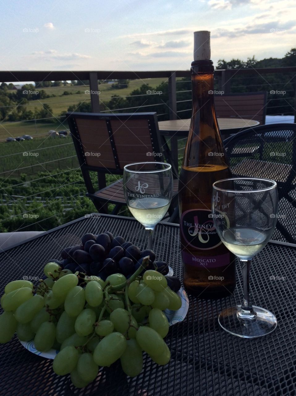Evening at the Vineyard