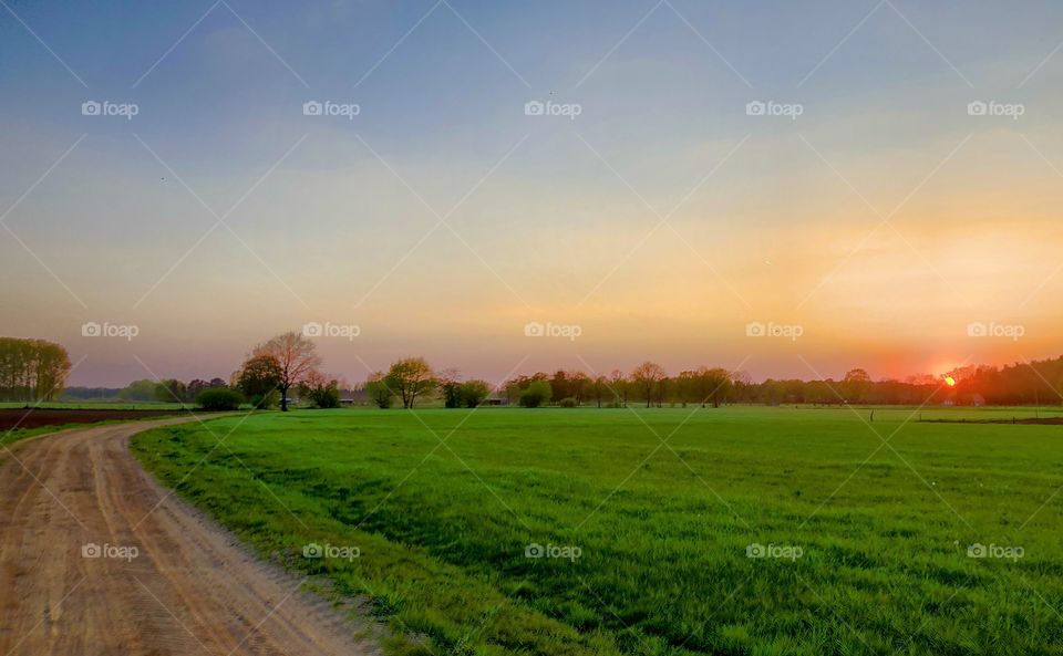 Idyllic colorful Sunrise or sunset over a grassland landscape with a dirtroad turning towards the sun
