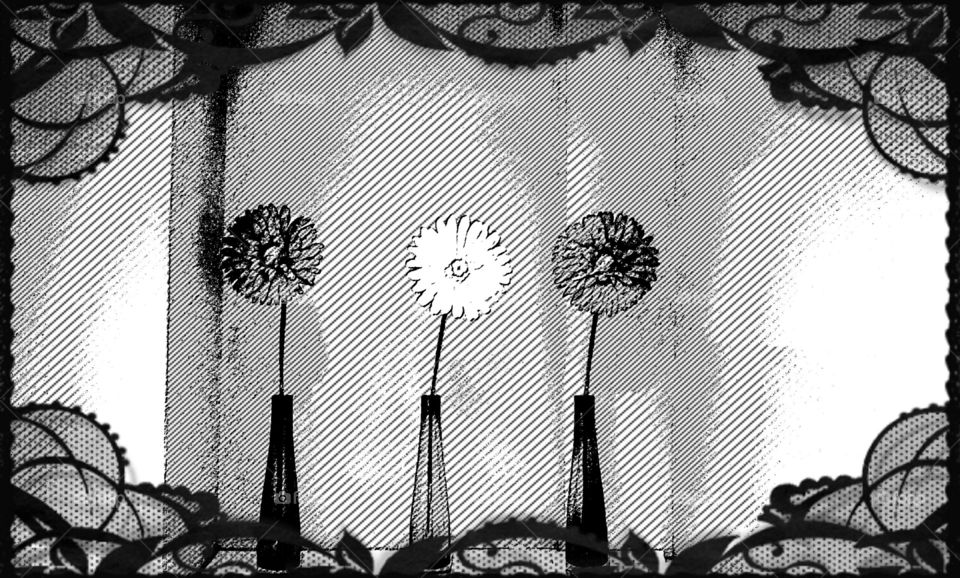 black and white flowers