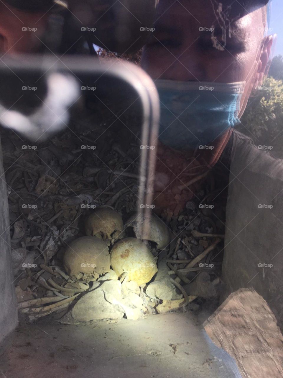 Skulls from the Second World War 