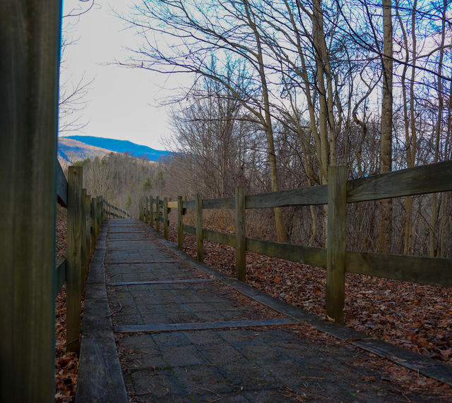 Smokey Mountains