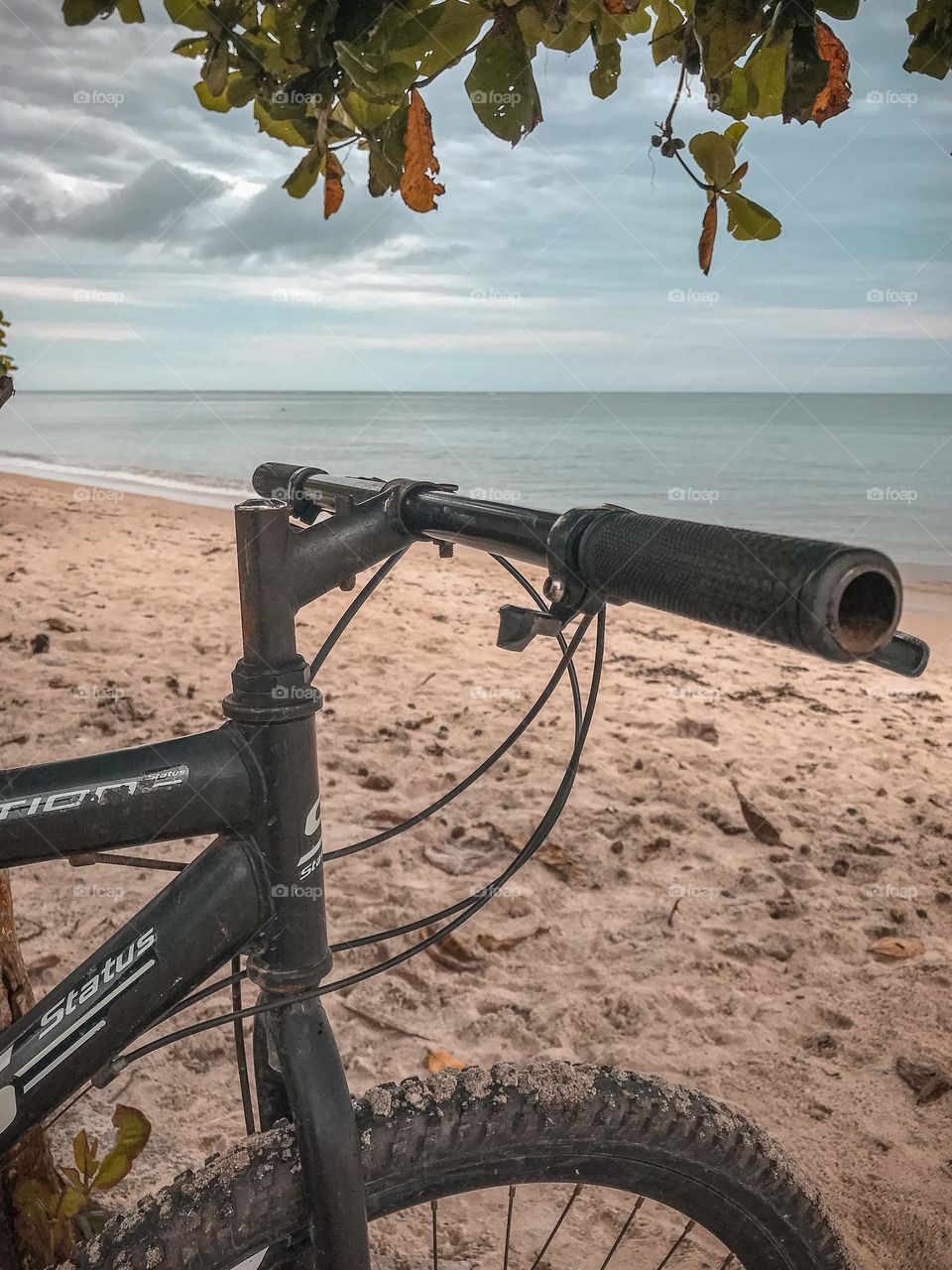 here in Bahia it's been raining a lot in the last few days.  Not so much today, so I took the opportunity to ride a bike to relax