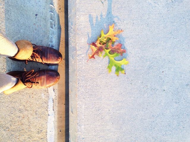 Fall