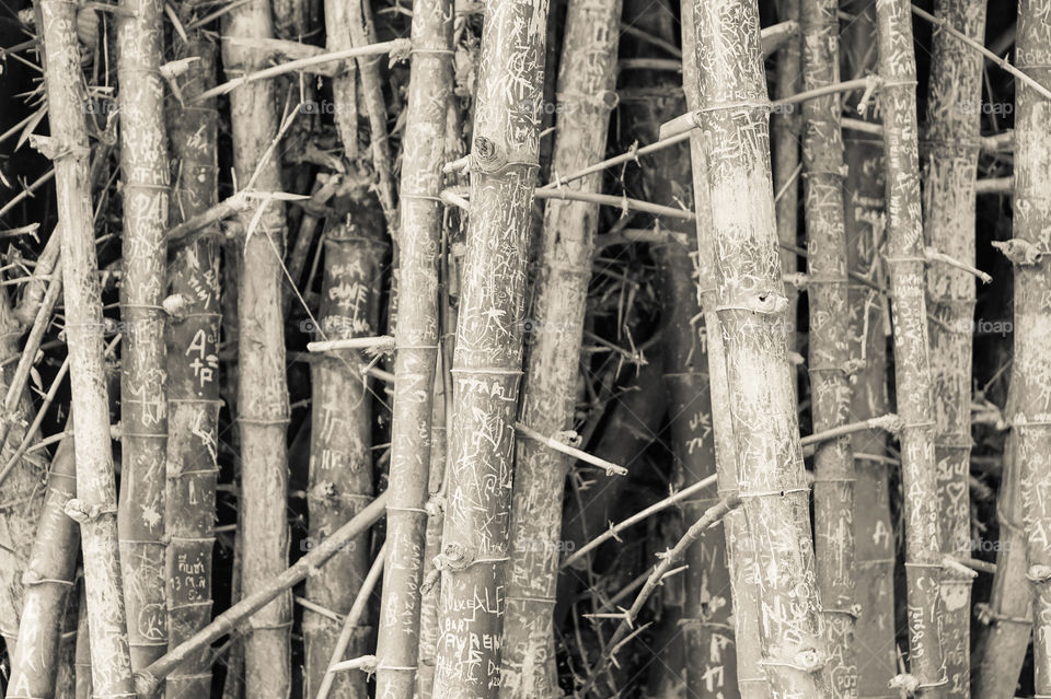 bamboo (vintage tone)