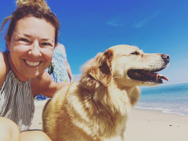 Dog days of summer
