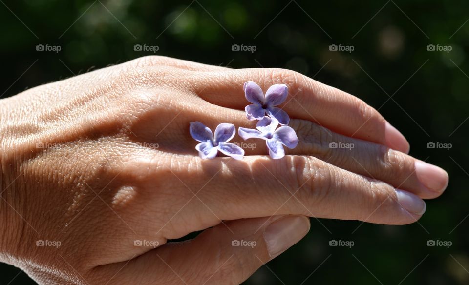 gentle small lilac flowers on a female hand beautiful floral