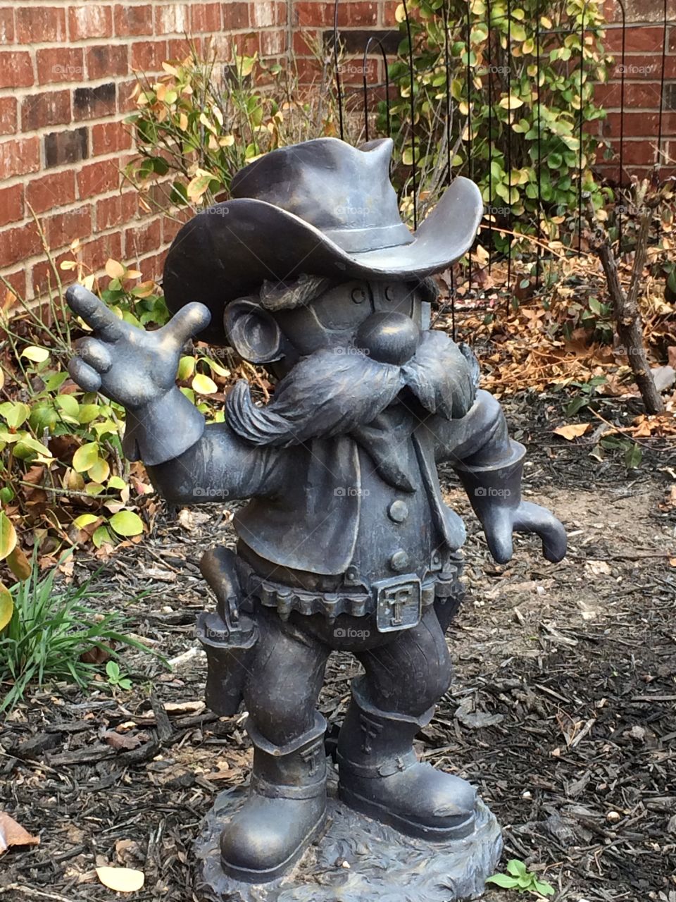 Texas Tech red Raiders 