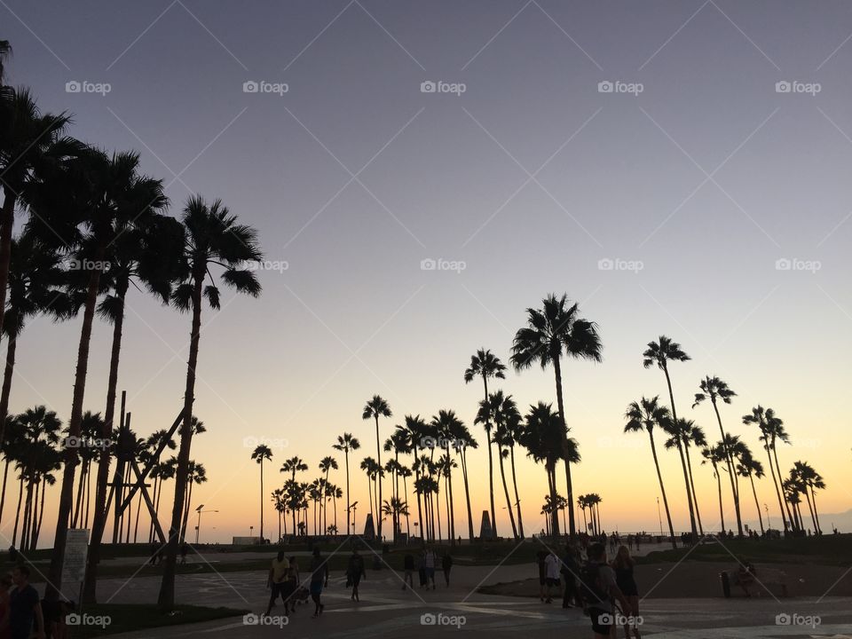 Sunset at Venice Beach, California 