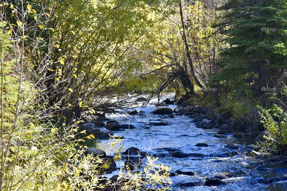 Snowy Mountain Stream