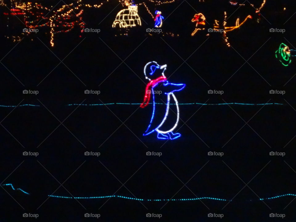 Lighted Penguin on frozen pond. Christmas display