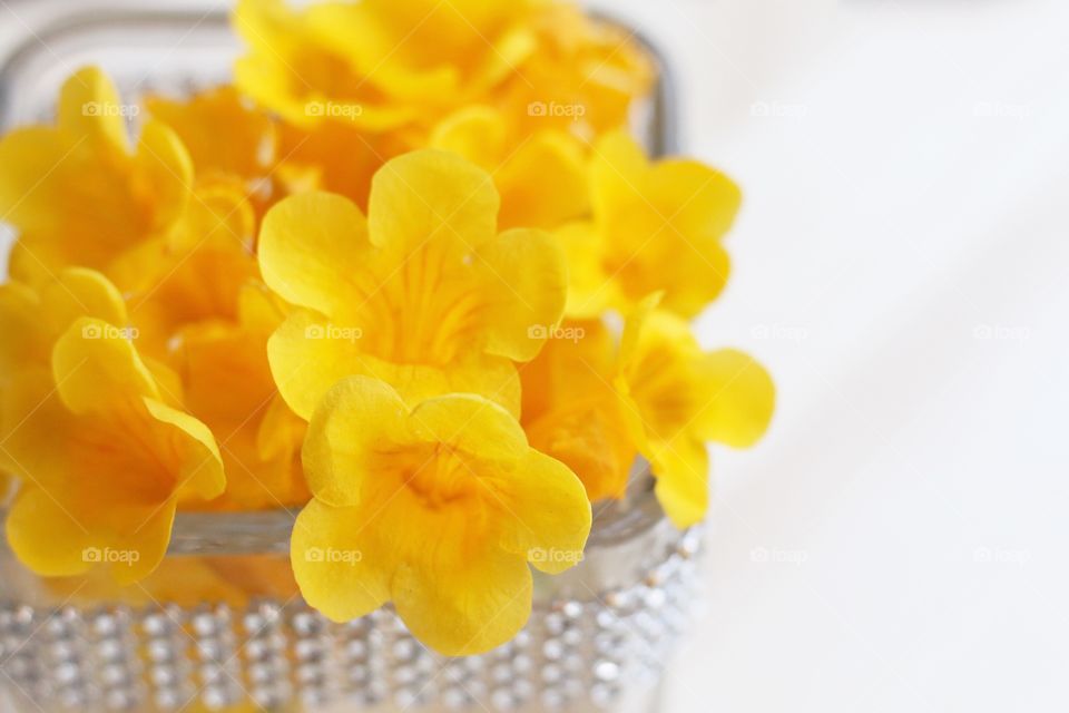 Yellow flowers in vase