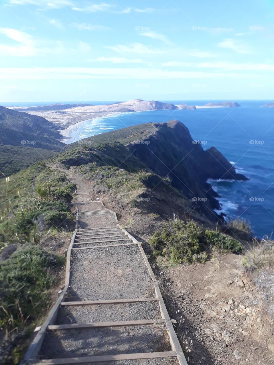 Cape Reinga