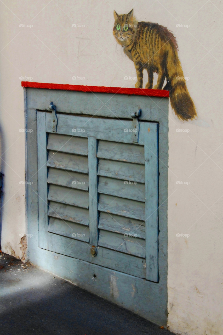 cat door cellar access by wme