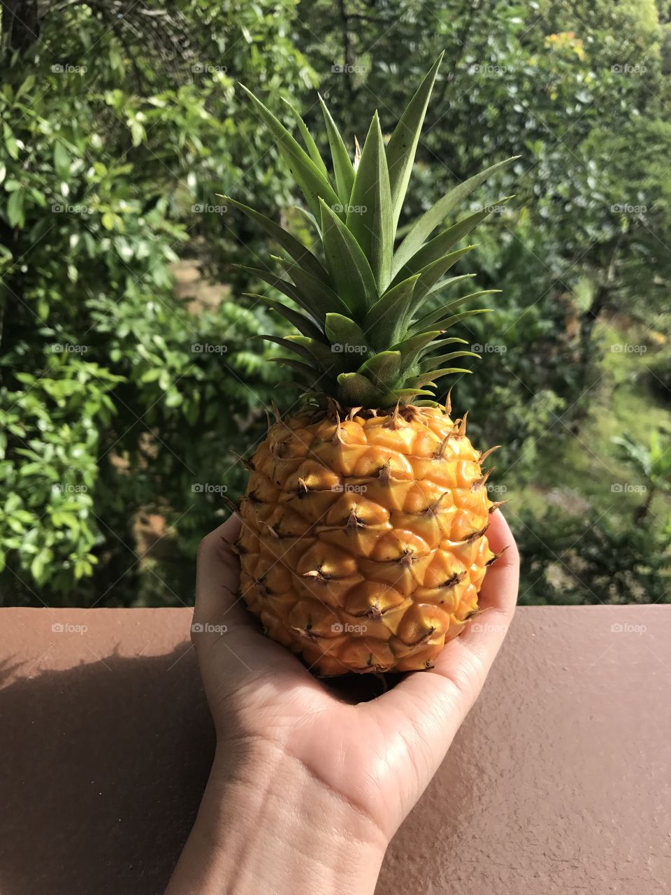 Nani pineapple