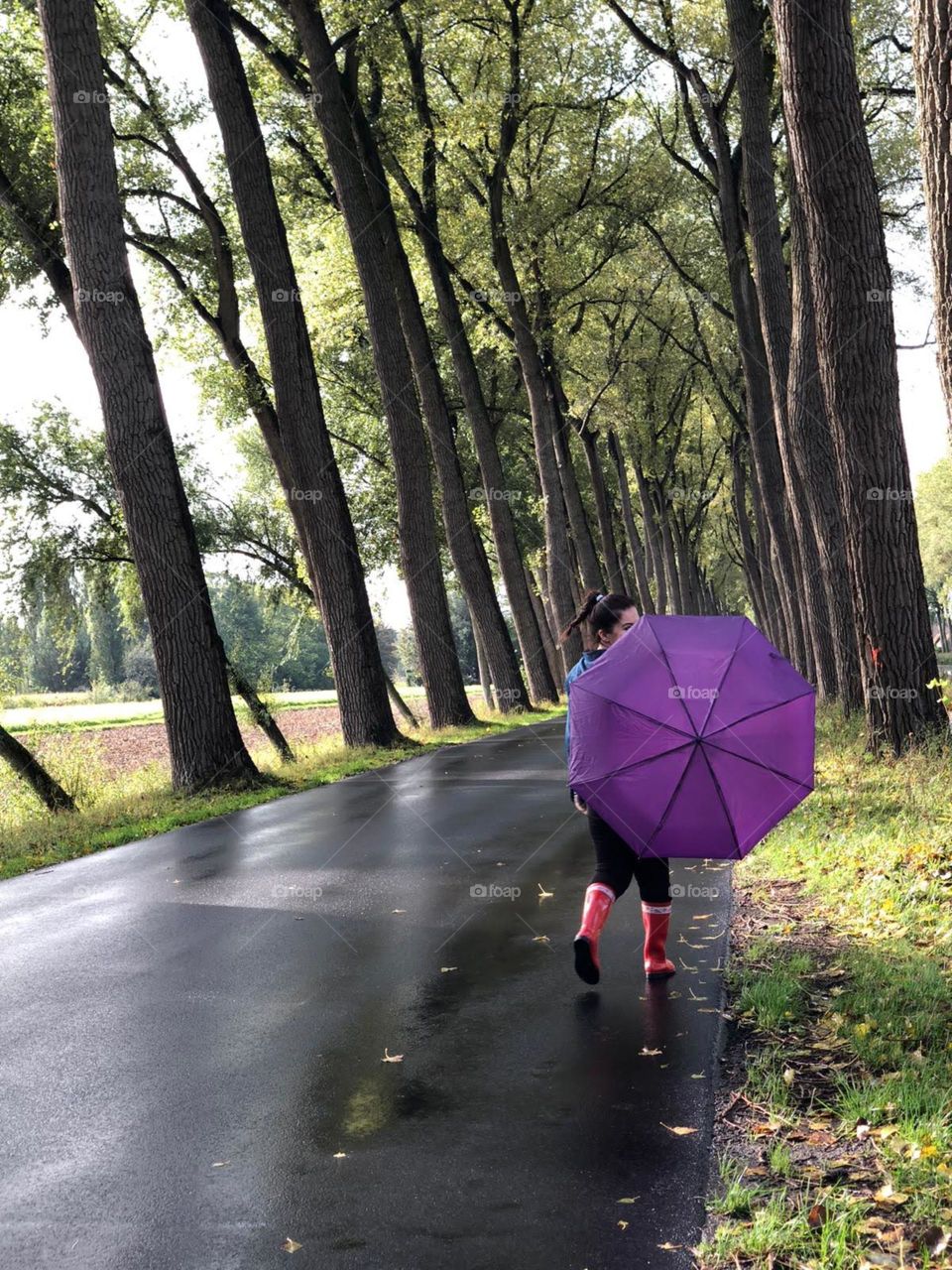 Rainy day, trees and purple umbrella