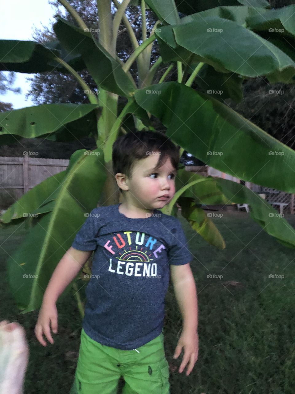 Cute two year old grandson in front of our banana tree. 