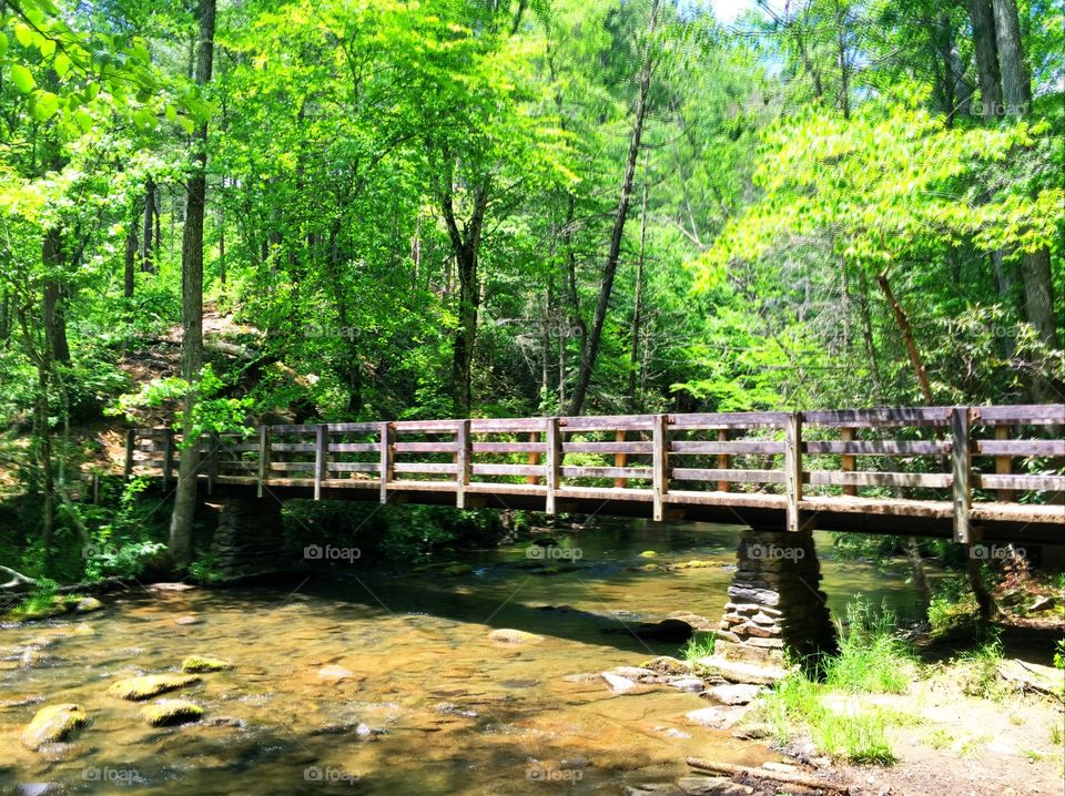 Great Smokey Mountains 