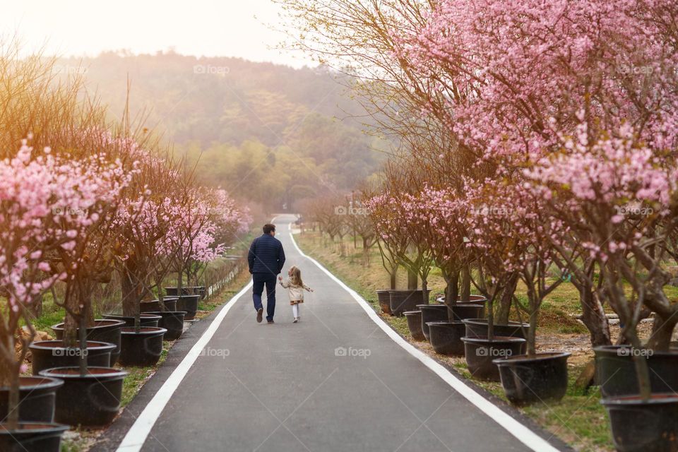 Father and daughter walking in park