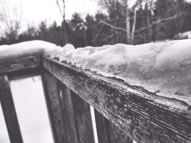 Winter Wonder
