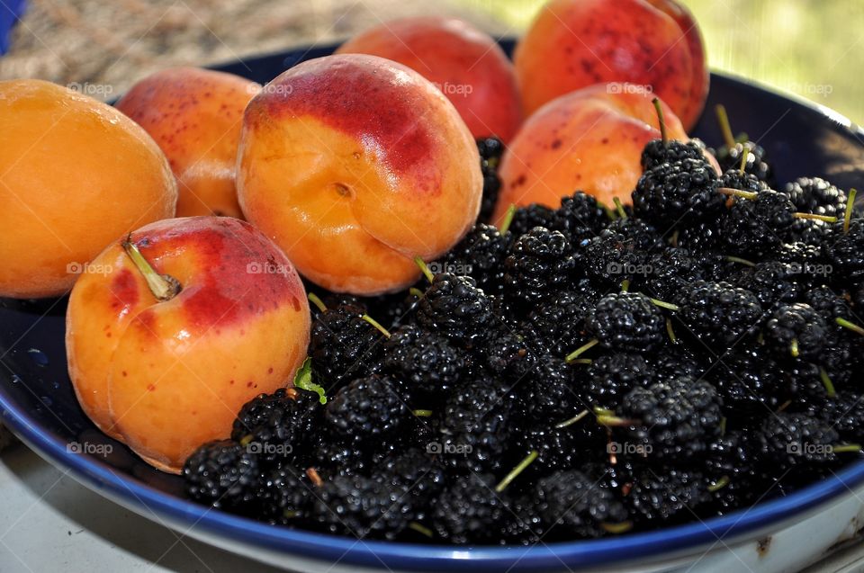 mix of mulberry and apricots