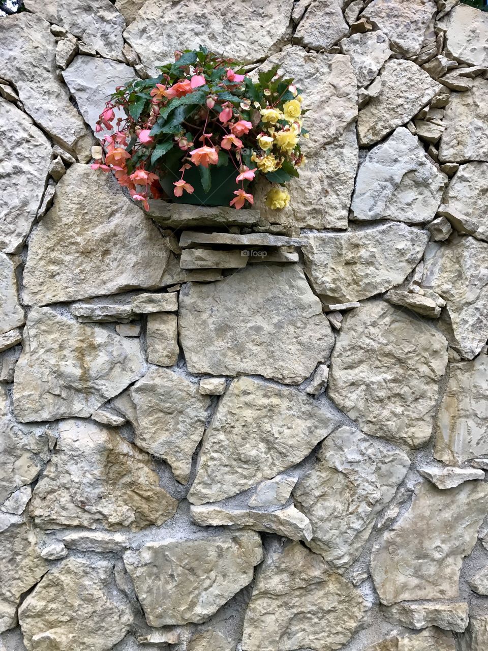 Flowers pot on the wall made with artificial stones 