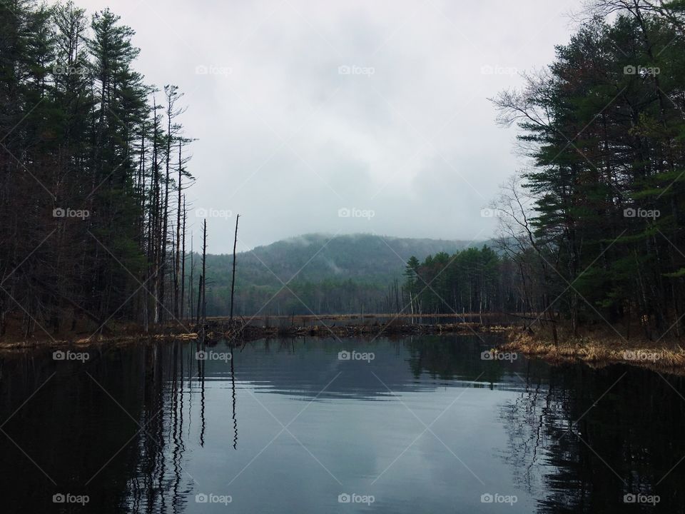 New Hampshire - Quincy Bog