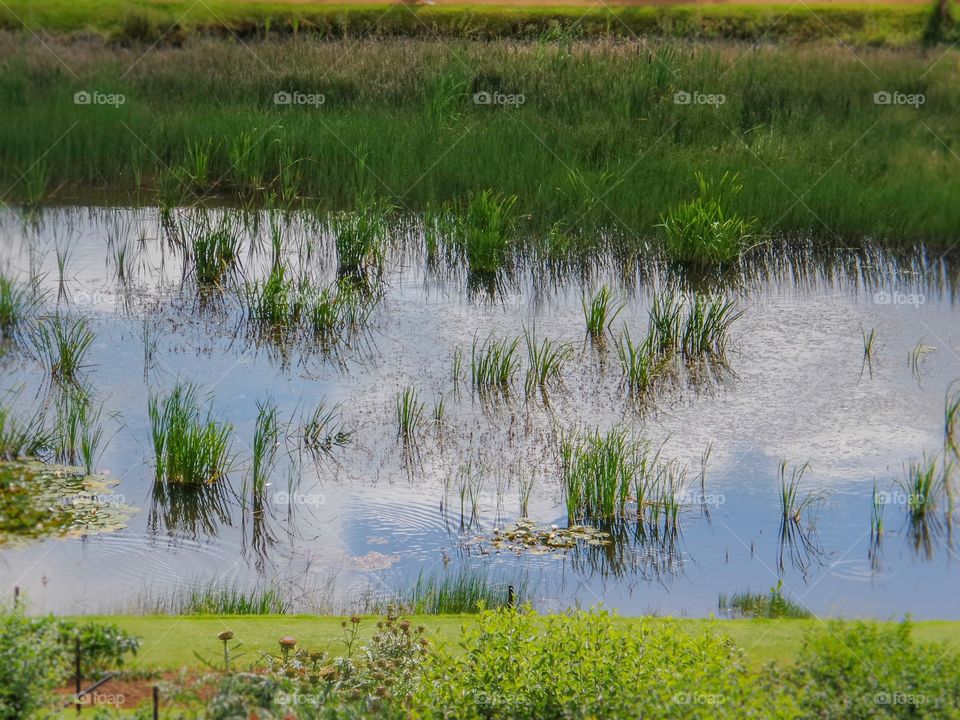 River. Landscape 