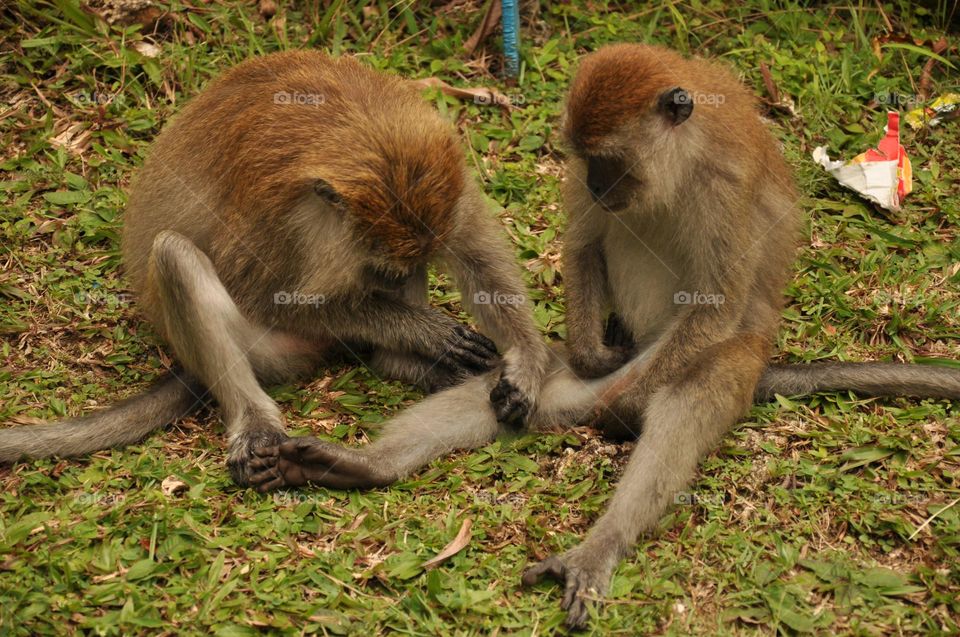 Small Moments of Happiness