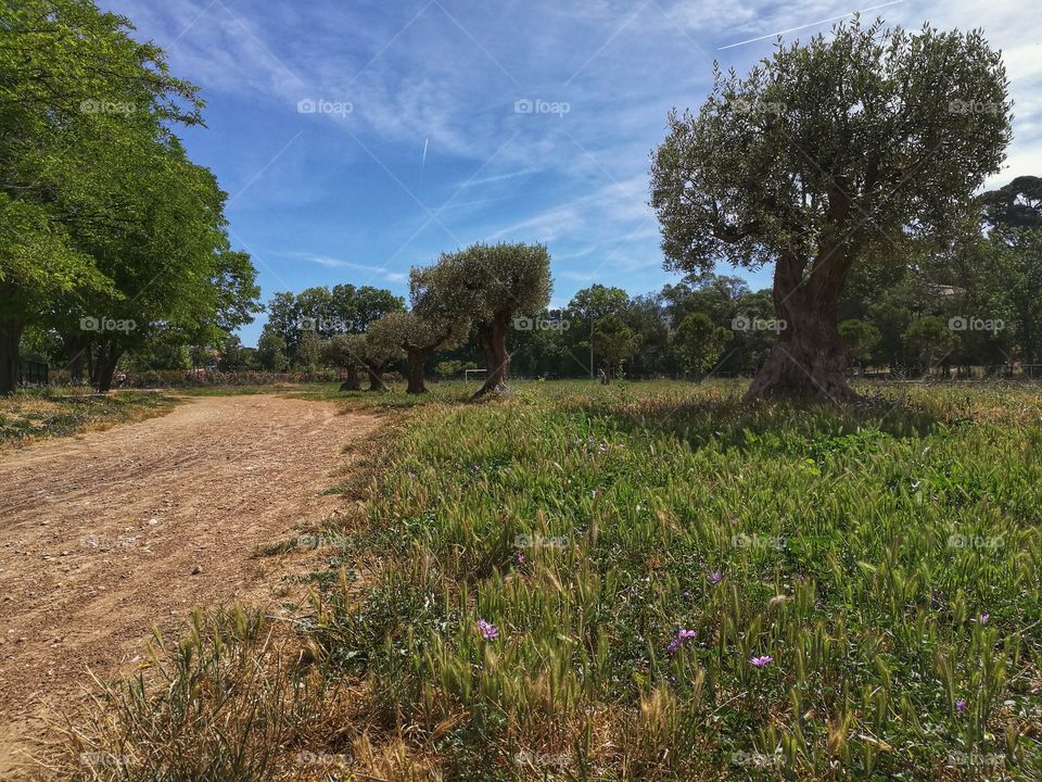 hiking Trail