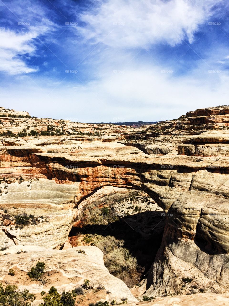 Natural bridges, Utah