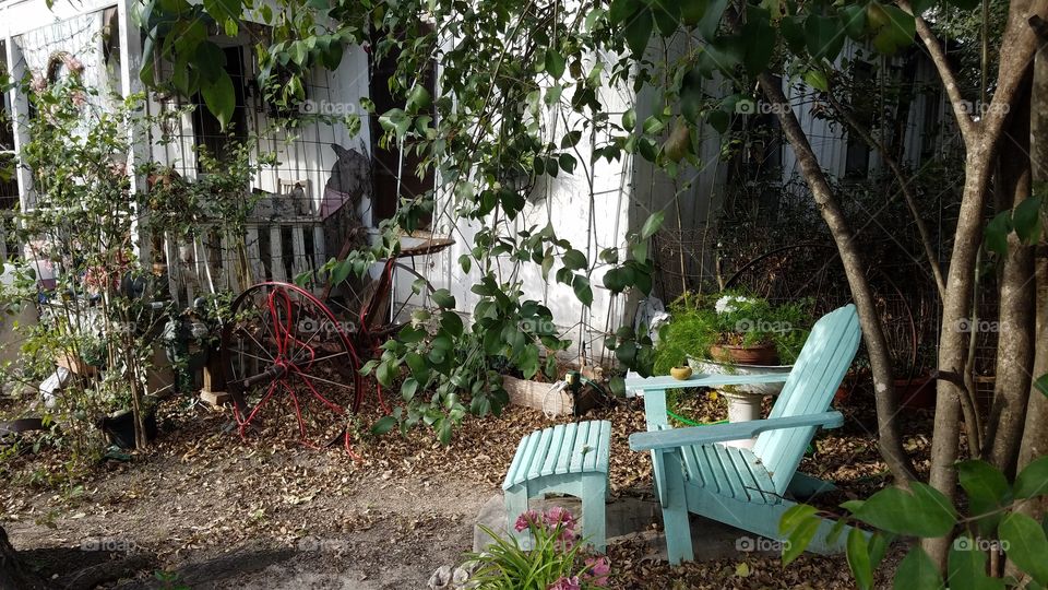 Garden, Leaf, Flower, No Person, Flora