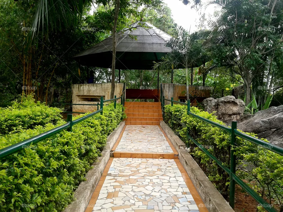 Park