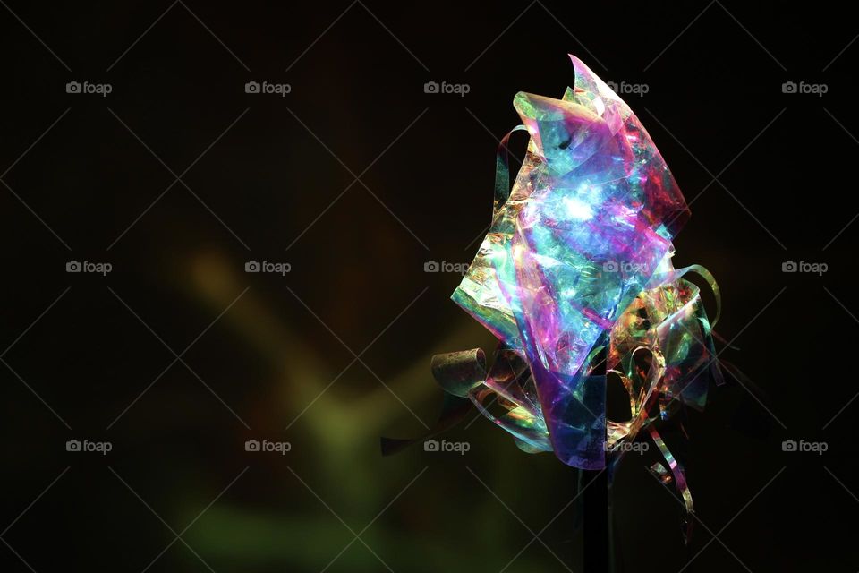 Mysterious flower with rainbow reflections inside of it. Will this flower give you eternal youth? Or it will make you immortal? Nobody knows, but once you pick it, you know it. Instagram: marina_vili_photo