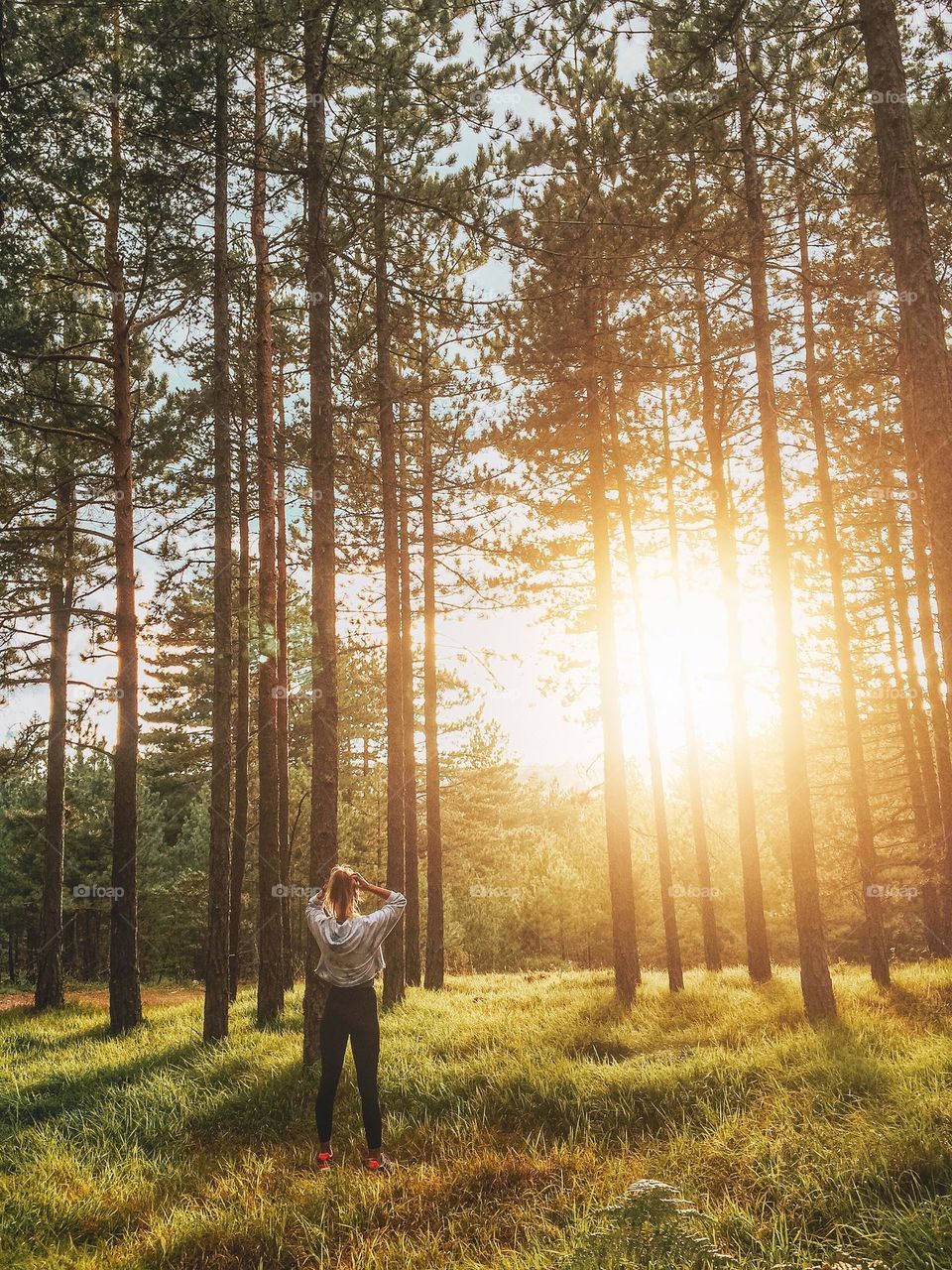 A young woman photographed from behind in a forest looking at the sun