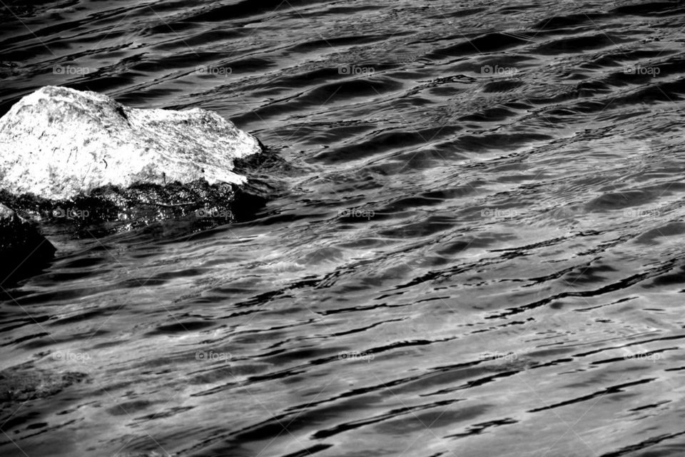 Ripples in Black and White