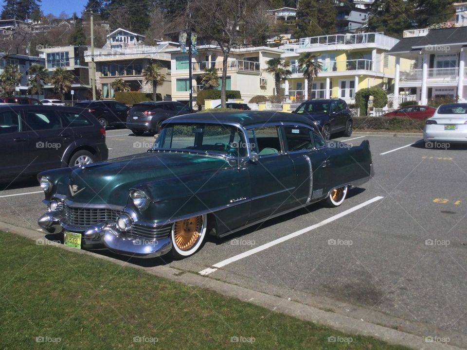 Old Cadillac on a Ride on a Spring Day 