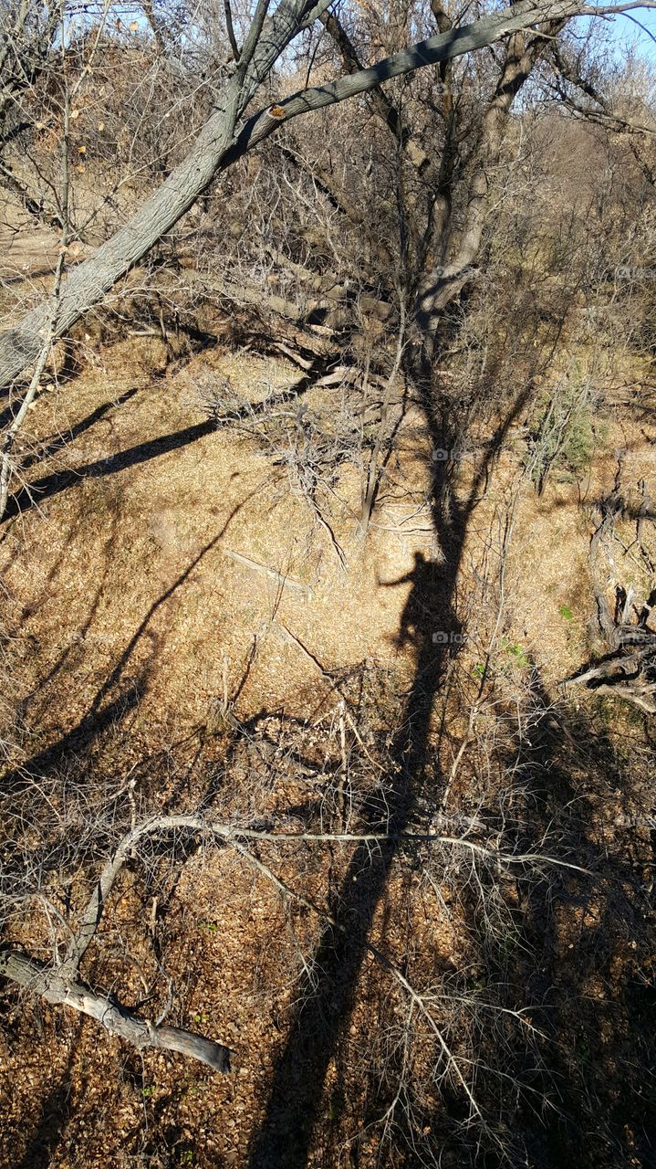 bow hunting shadow