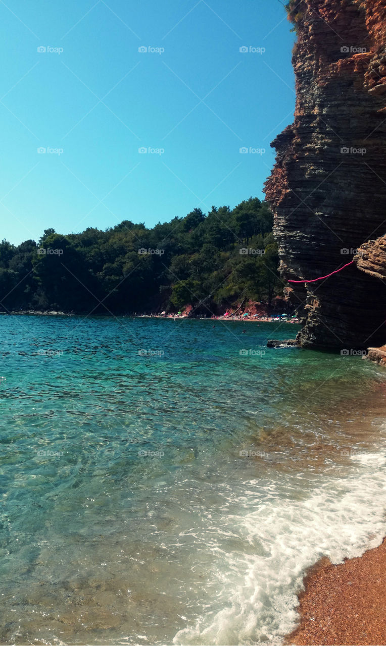 forest, beach, mountains, cliff and sea