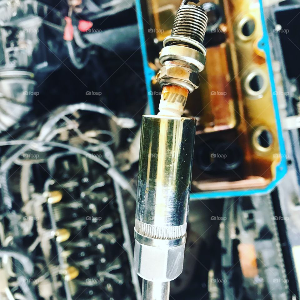 Car maintenance with an oil covered spark plug and socket.