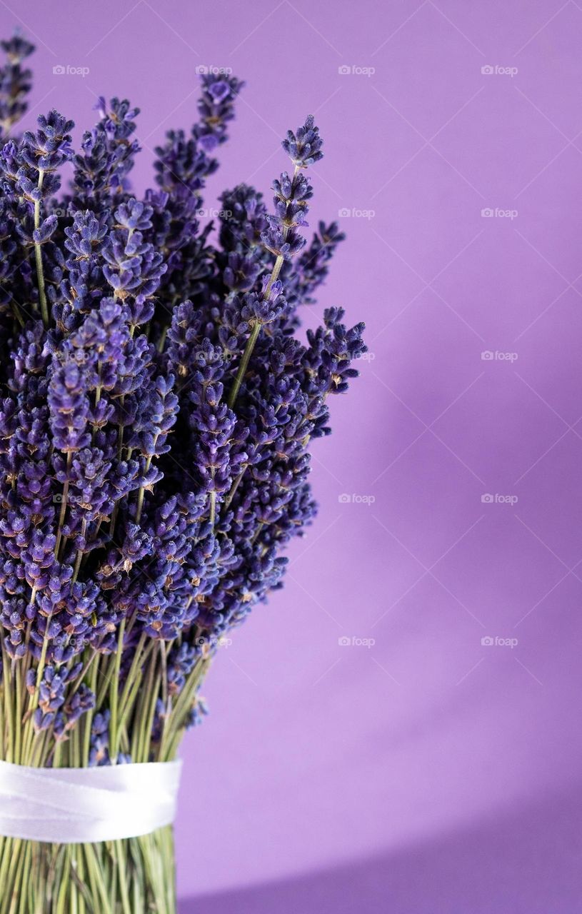 Lavender