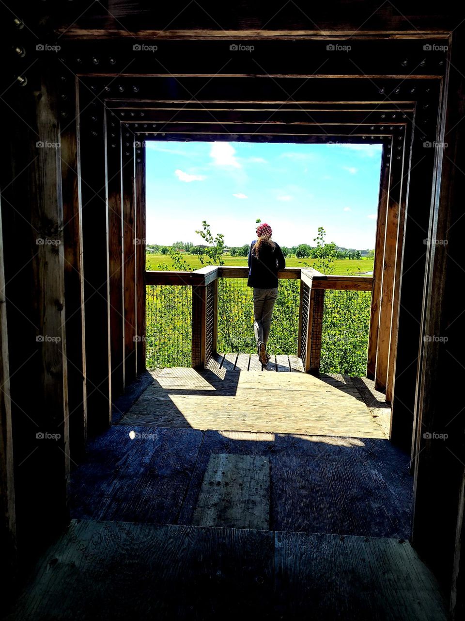 house tree with beautiful view