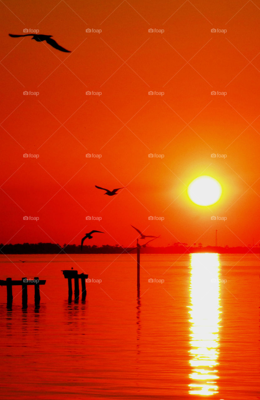 Incredible Sunset! There is nothing as diverse as nature itself. It is a beautiful place; and it is everywhere. I am a haunter of nature who loves its beauty and solitude. Take a deep breath, relax, open your eyes, and enjoy the ride through my beautiful world of nature!