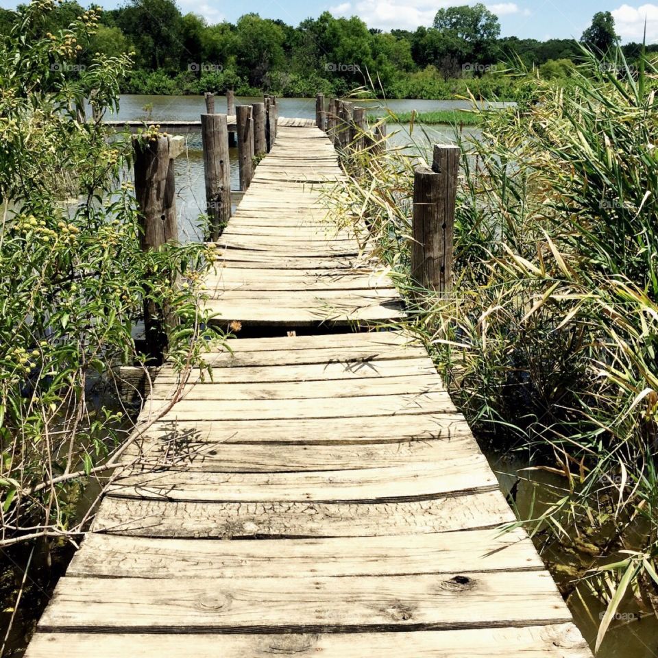 Boardwalk to the river 